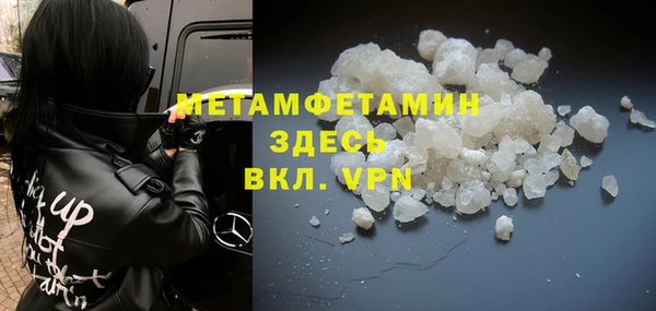 прущие грибы Беломорск