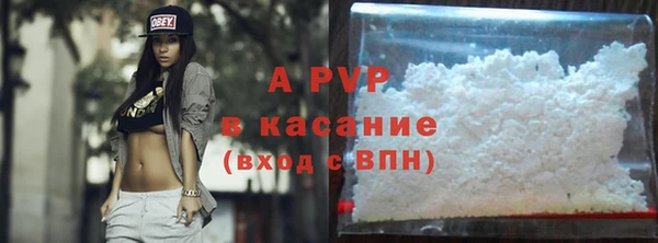 прущие грибы Беломорск