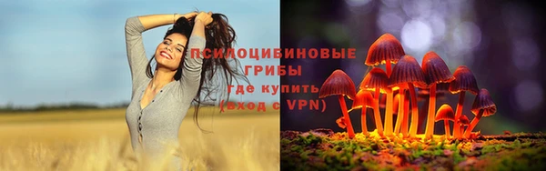 прущие грибы Беломорск