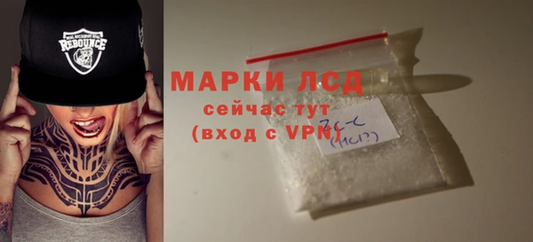 прущие грибы Беломорск