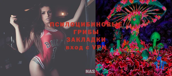 прущий лед Белокуриха