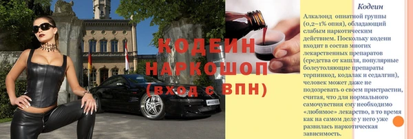 прущие грибы Беломорск